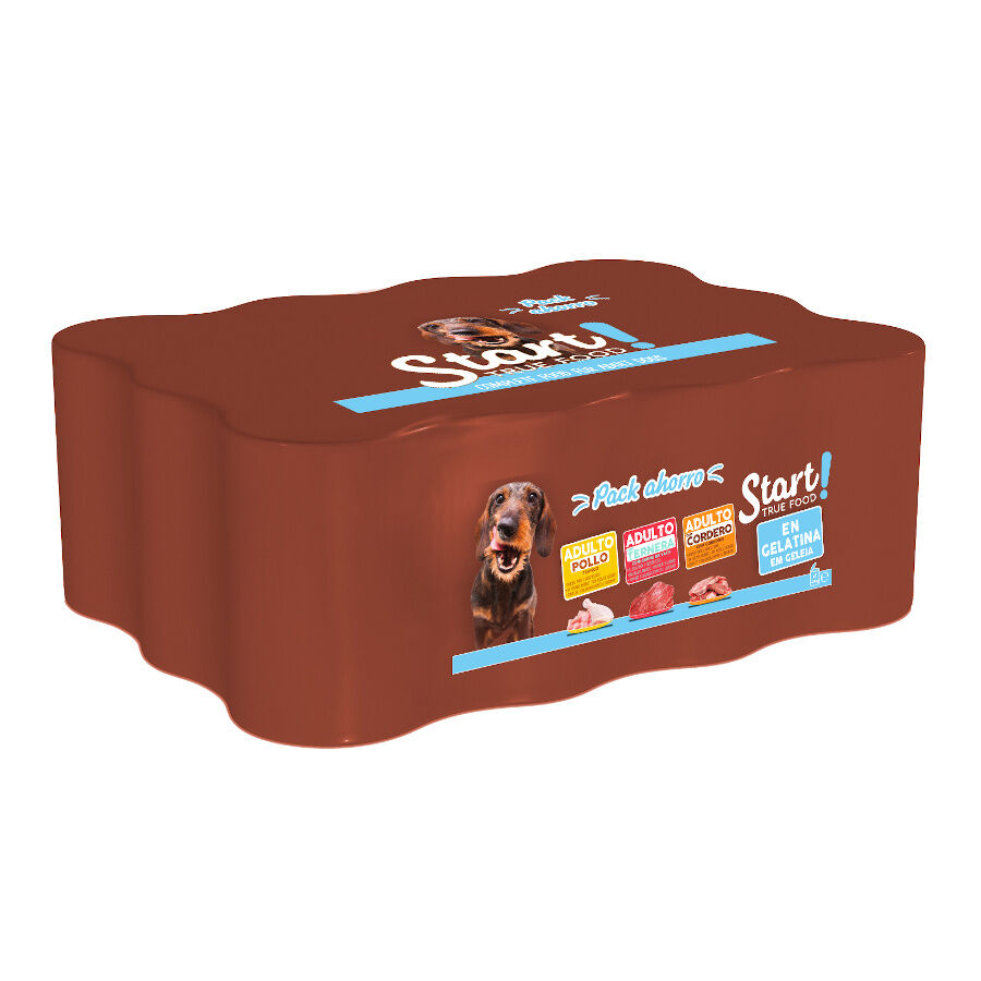 Start! Adulto Frango, Vitela e Cordeiro em Gelatina para cães - Multipack 6